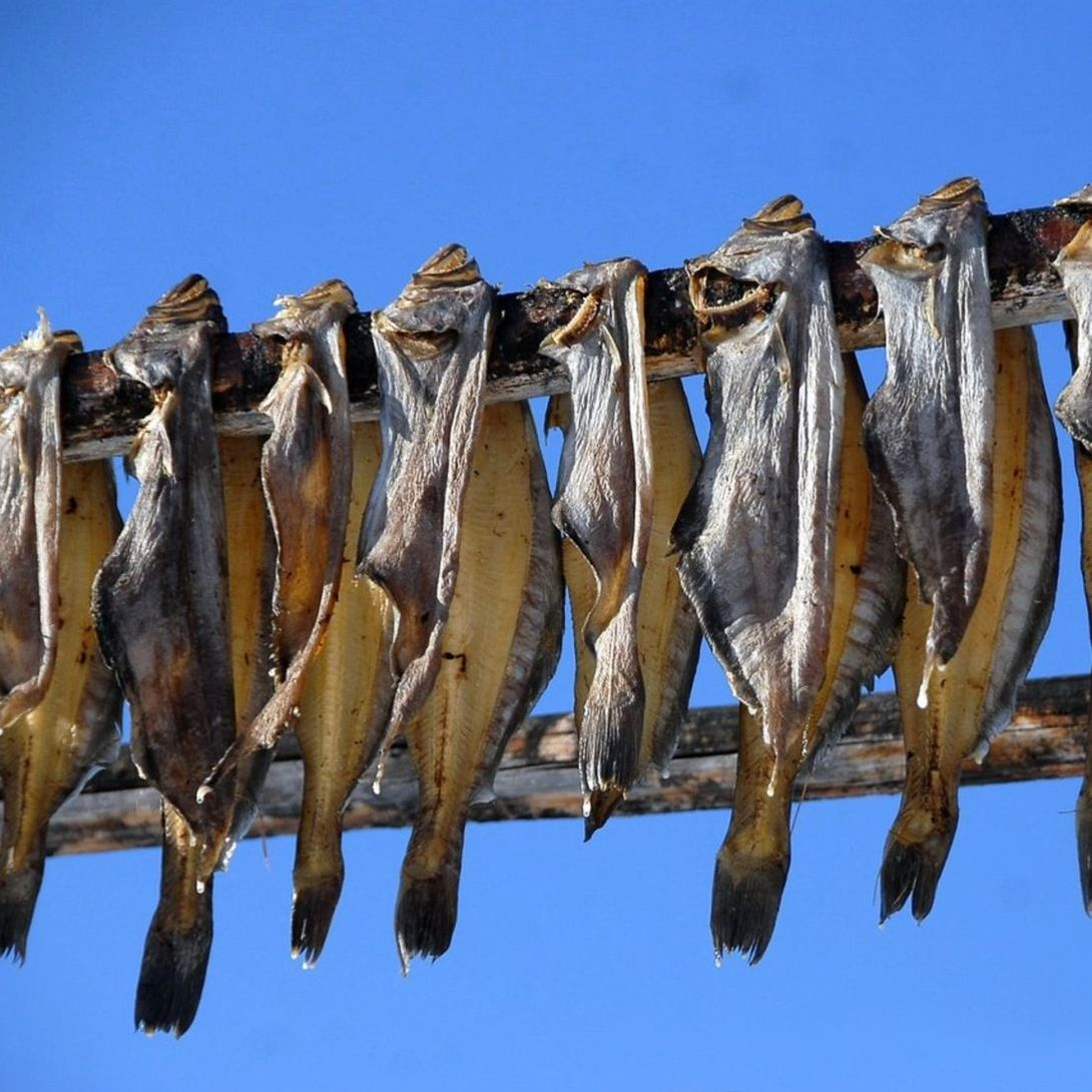 Fresh catch at dawn
